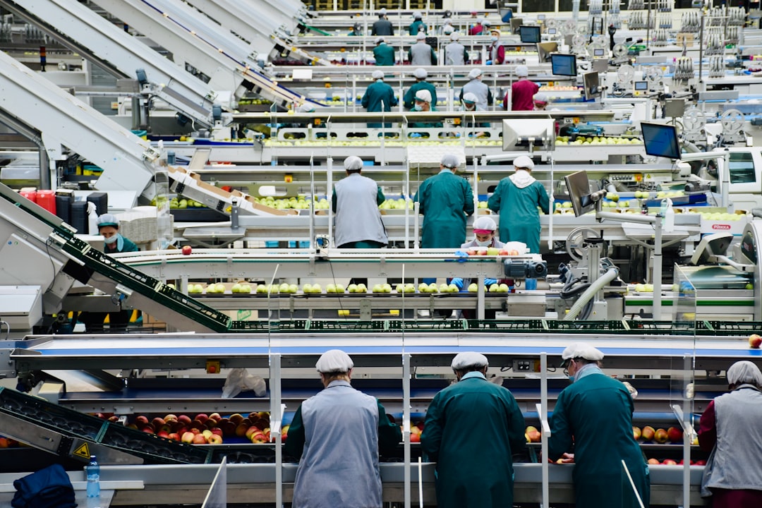 Wide view of workers operating an automated production line